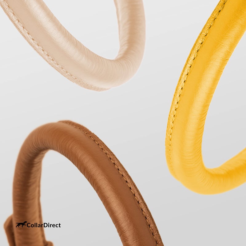 CollarDirect Rolled Leather Dog Collar, Soft Padded Round Puppy Collar, Handmade Genuine Leather Collar Dog Small Large Cat Collars 13 Colors (6-7 Inch, Yellow Textured) - Image 5
